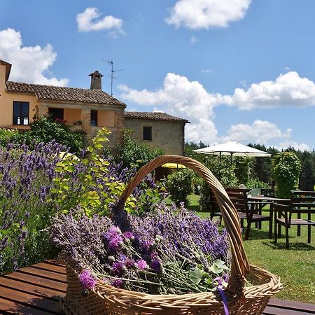 Agriturismo Monterosello Читта-ді-Кастелло Екстер'єр фото