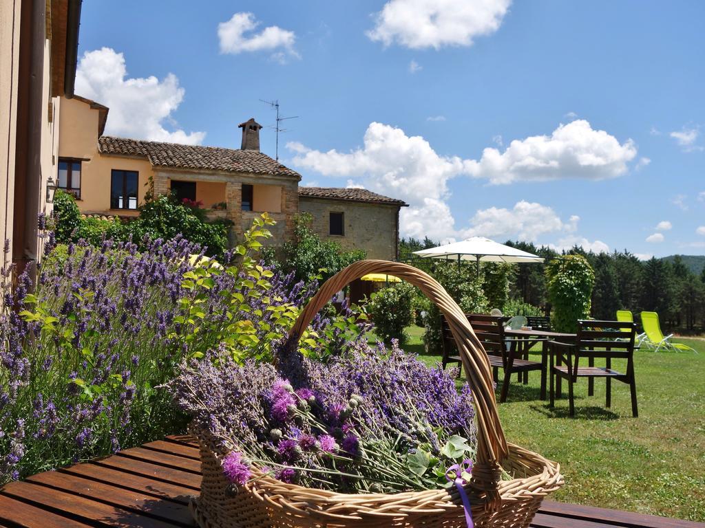 Agriturismo Monterosello Читта-ді-Кастелло Екстер'єр фото